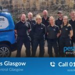 Pest Solutions