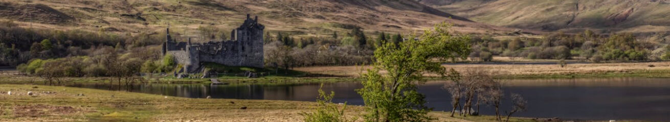 Scotland's Online Directory